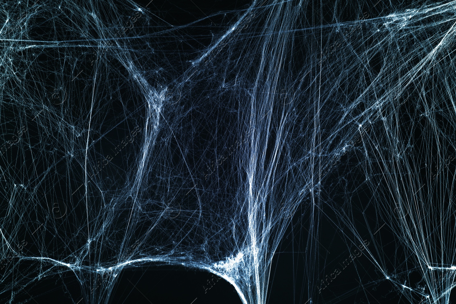 Image of Cobweb against black background, toned in gradient blue color