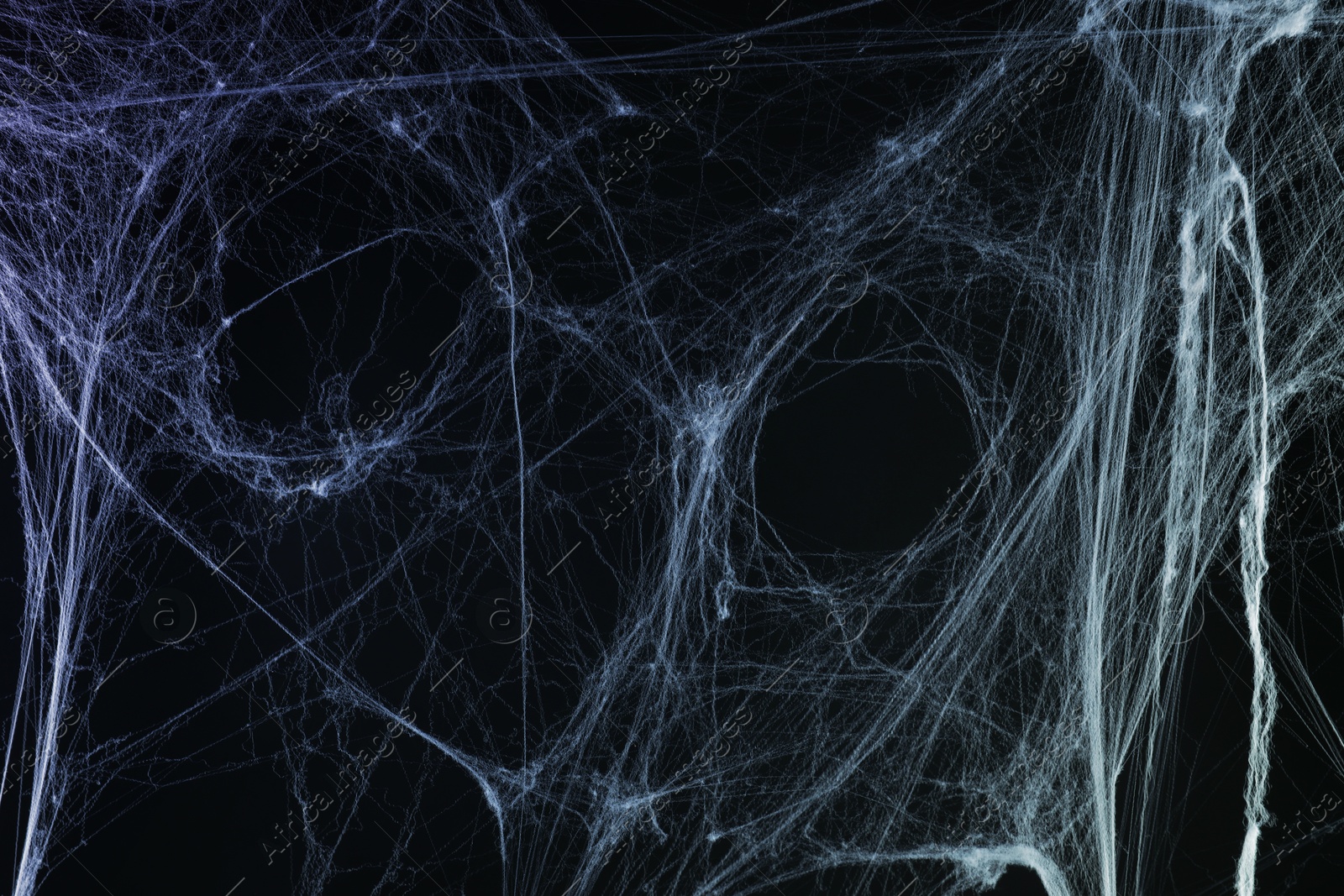 Image of Cobweb against black background, toned in gradient blue color