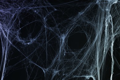 Image of Cobweb against black background, toned in gradient blue color