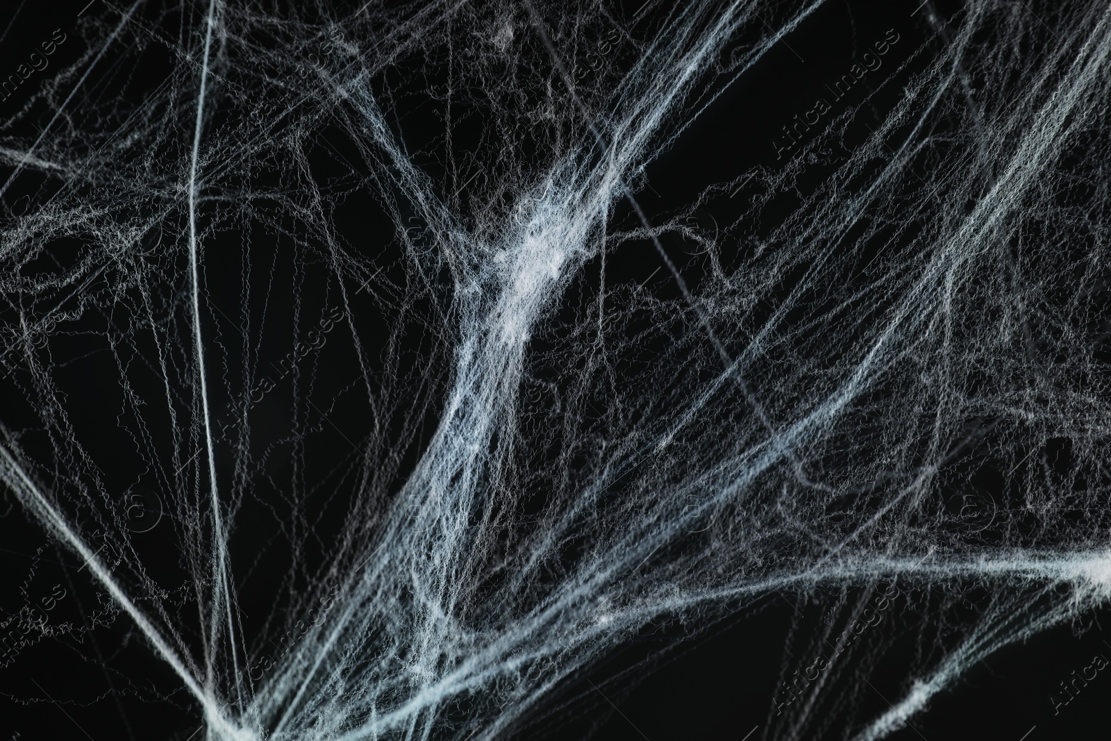 Image of Spooky tangled cobweb against black background, closeup