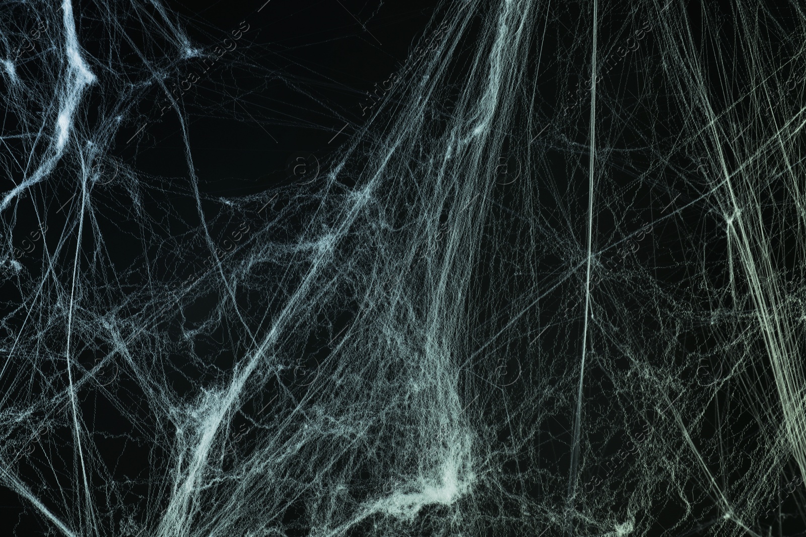 Image of Cobweb against black background, toned in gradient green color