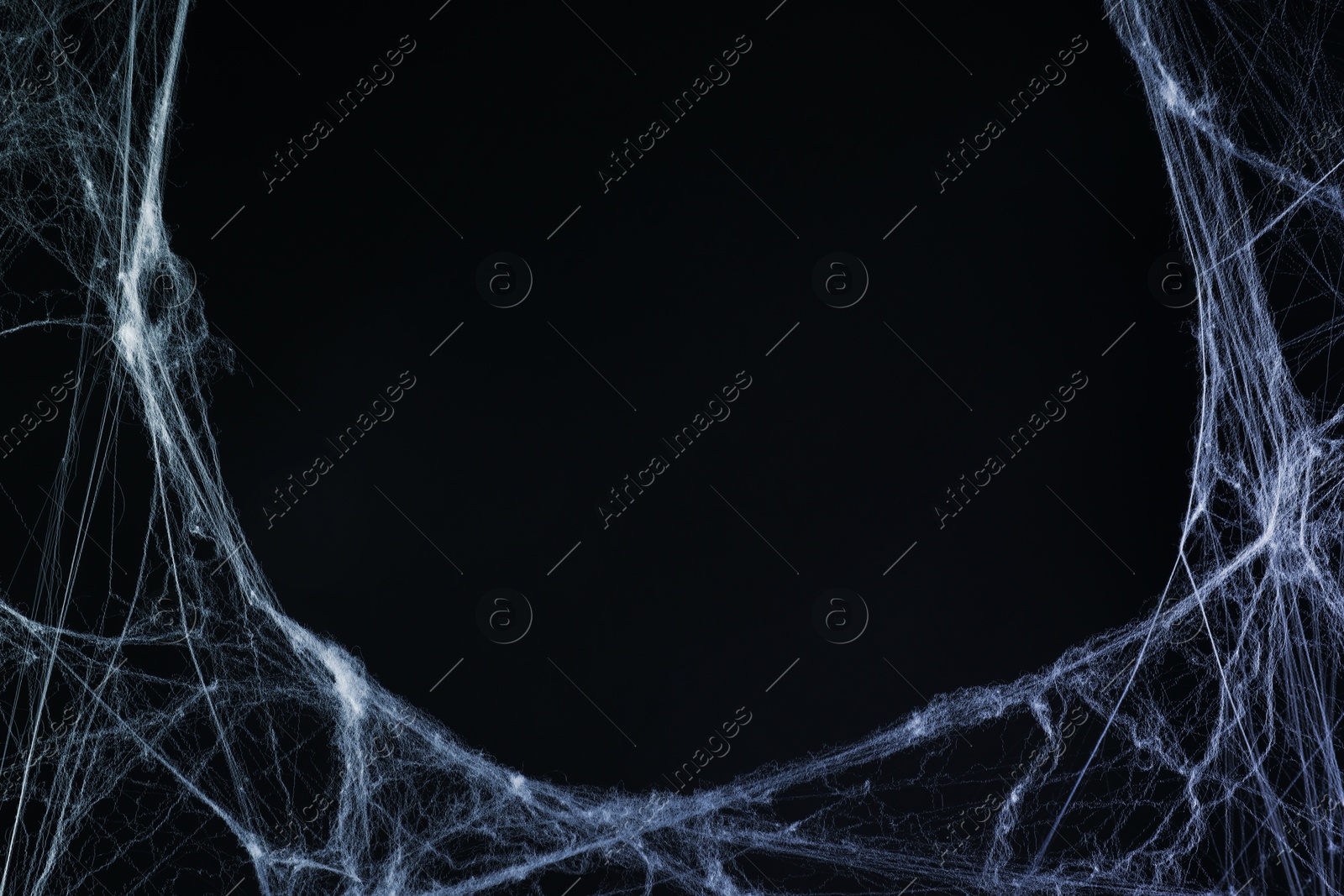 Image of Cobweb against black background, toned in gradient blue color. Space for text