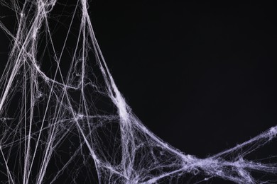 Image of Cobweb against black background, toned in gradient violet color. Space for text