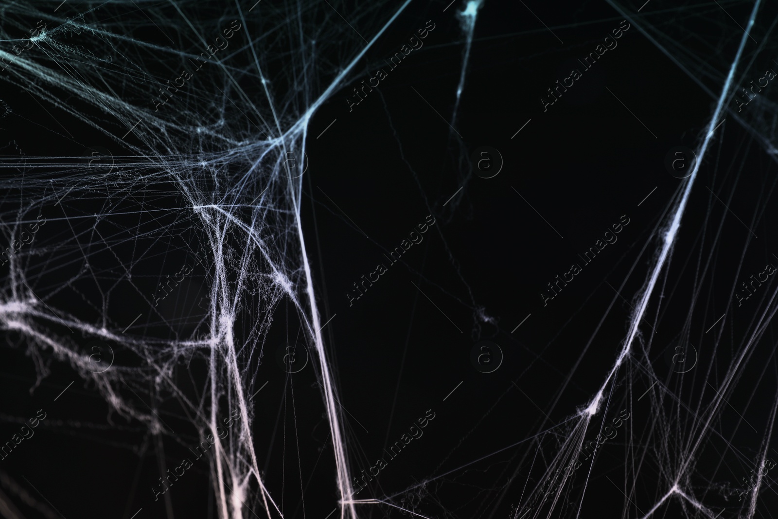 Image of Cobweb against black background, toned in gradient blue color