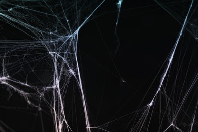 Image of Cobweb against black background, toned in gradient blue color