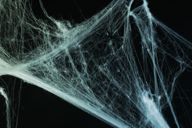 Image of Cobweb and spider against black background, toned in blue gradient color