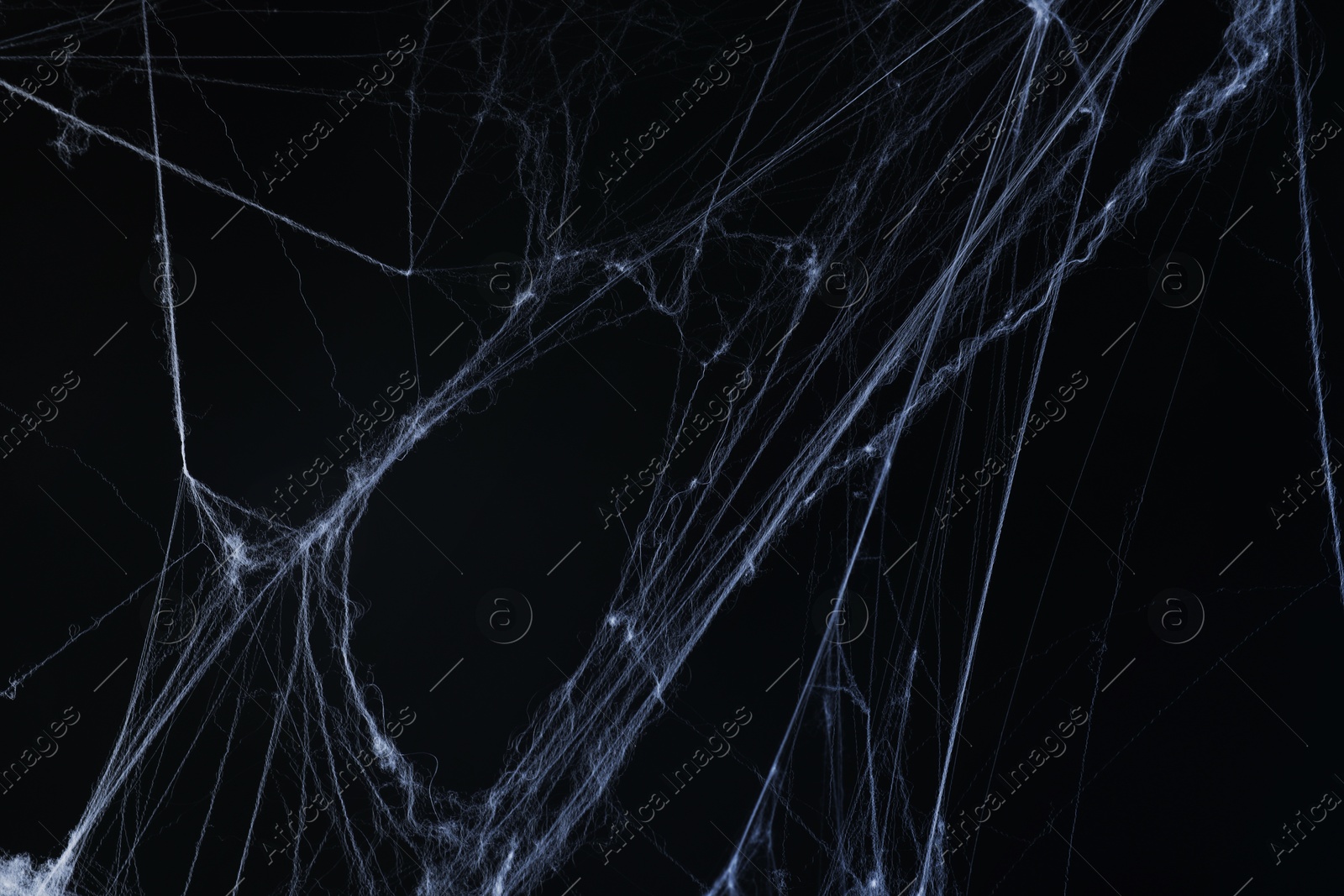 Image of Cobweb against black background, toned in gradient blue color