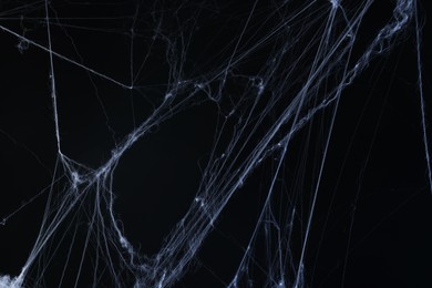 Image of Cobweb against black background, toned in gradient blue color