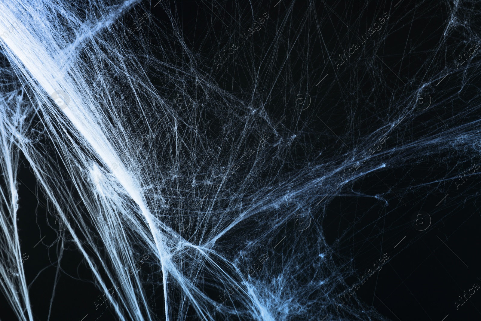 Image of Cobweb against black background, toned in gradient blue color