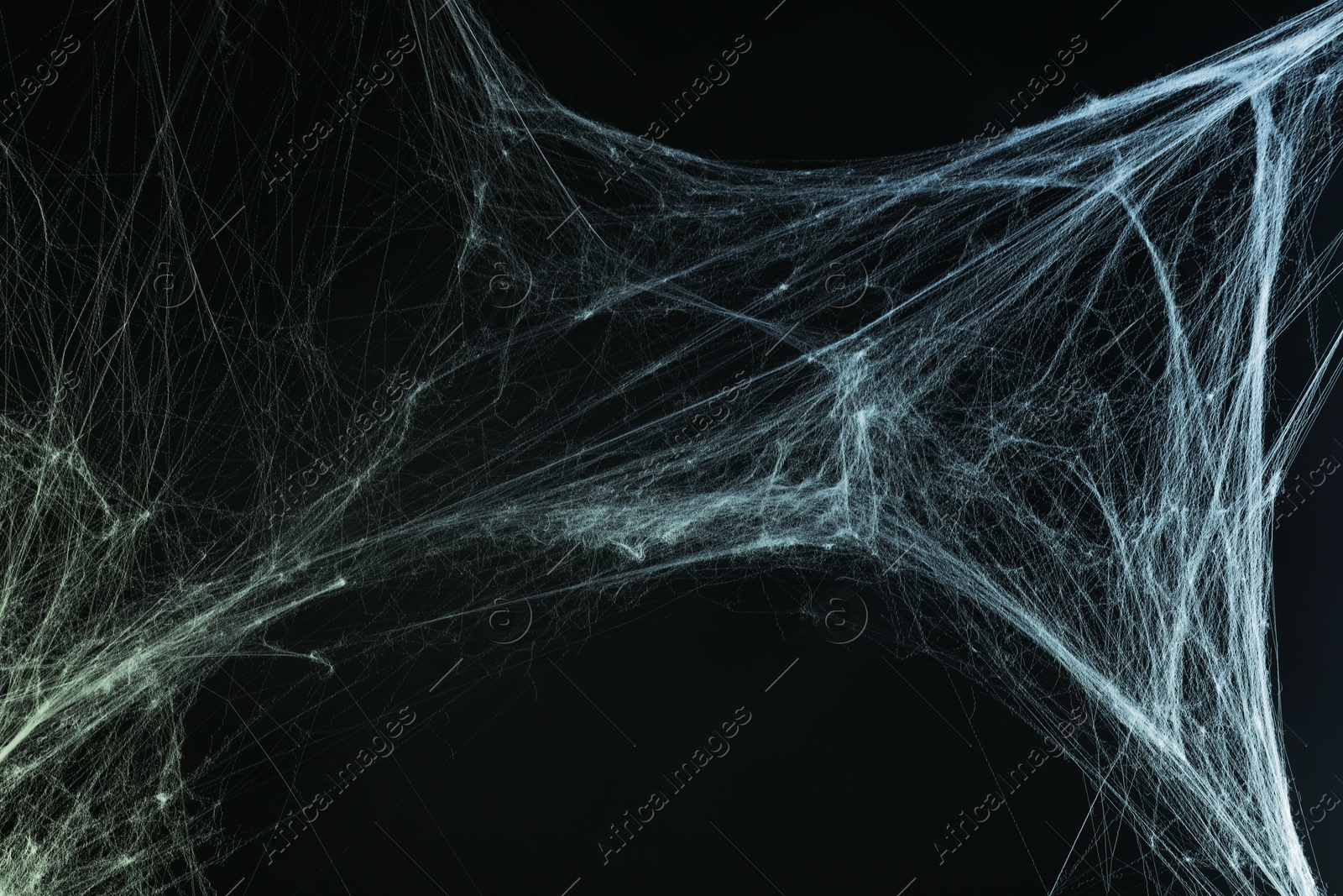 Image of Cobweb against black background, toned in gradient green color