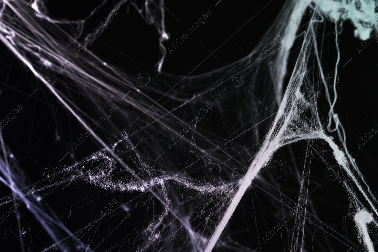 Image of Cobweb against black background, Cobweb against black background, toned in gradient color