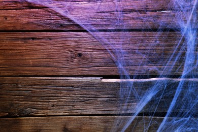 Image of Cobweb on wooden background, toned in blue gradient color. Space for text