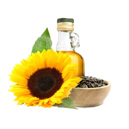 Image of Cooking oil in glass bottle, sunflower seeds and flower isolated on white