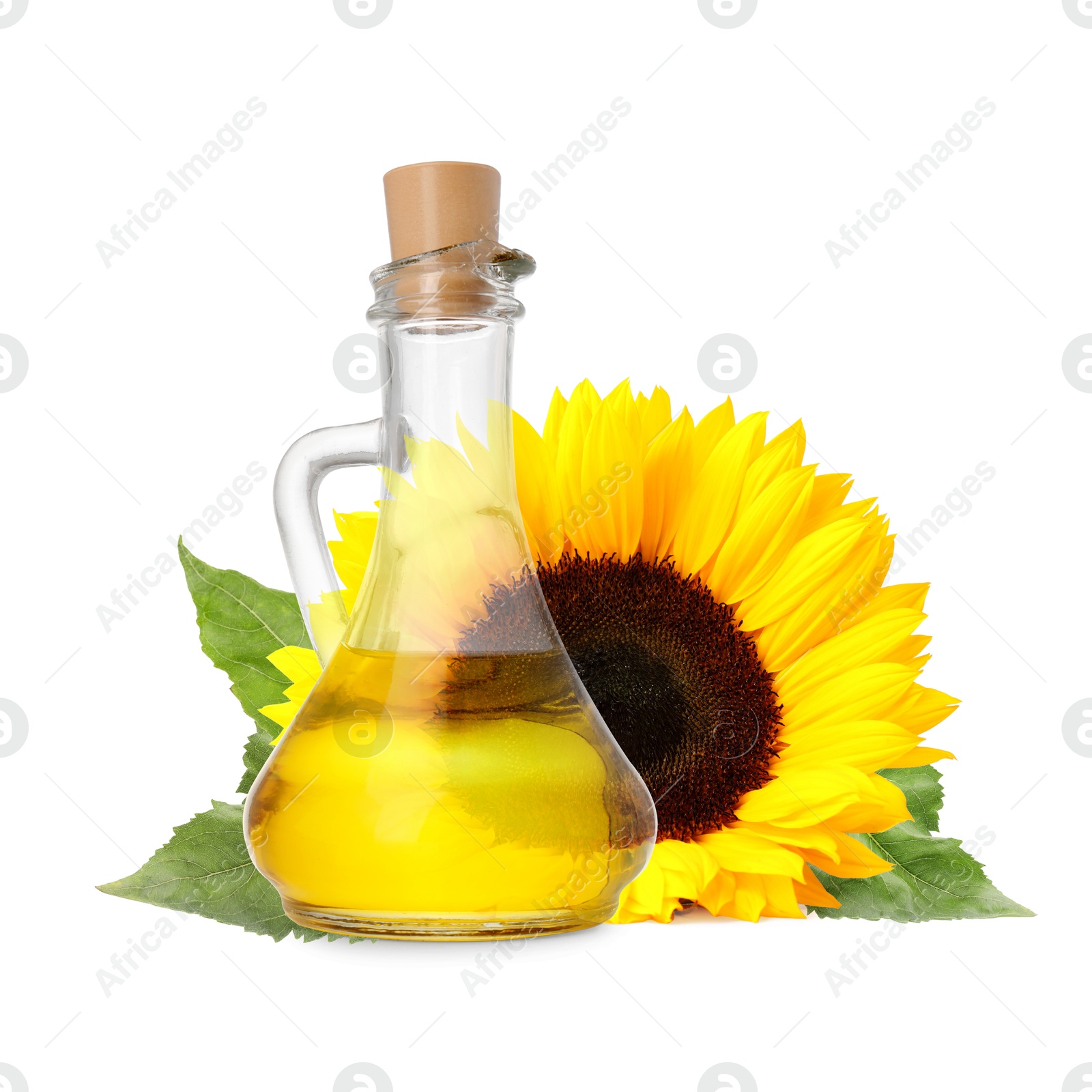 Image of Cooking oil in glass jug and bright sunflower isolated on white