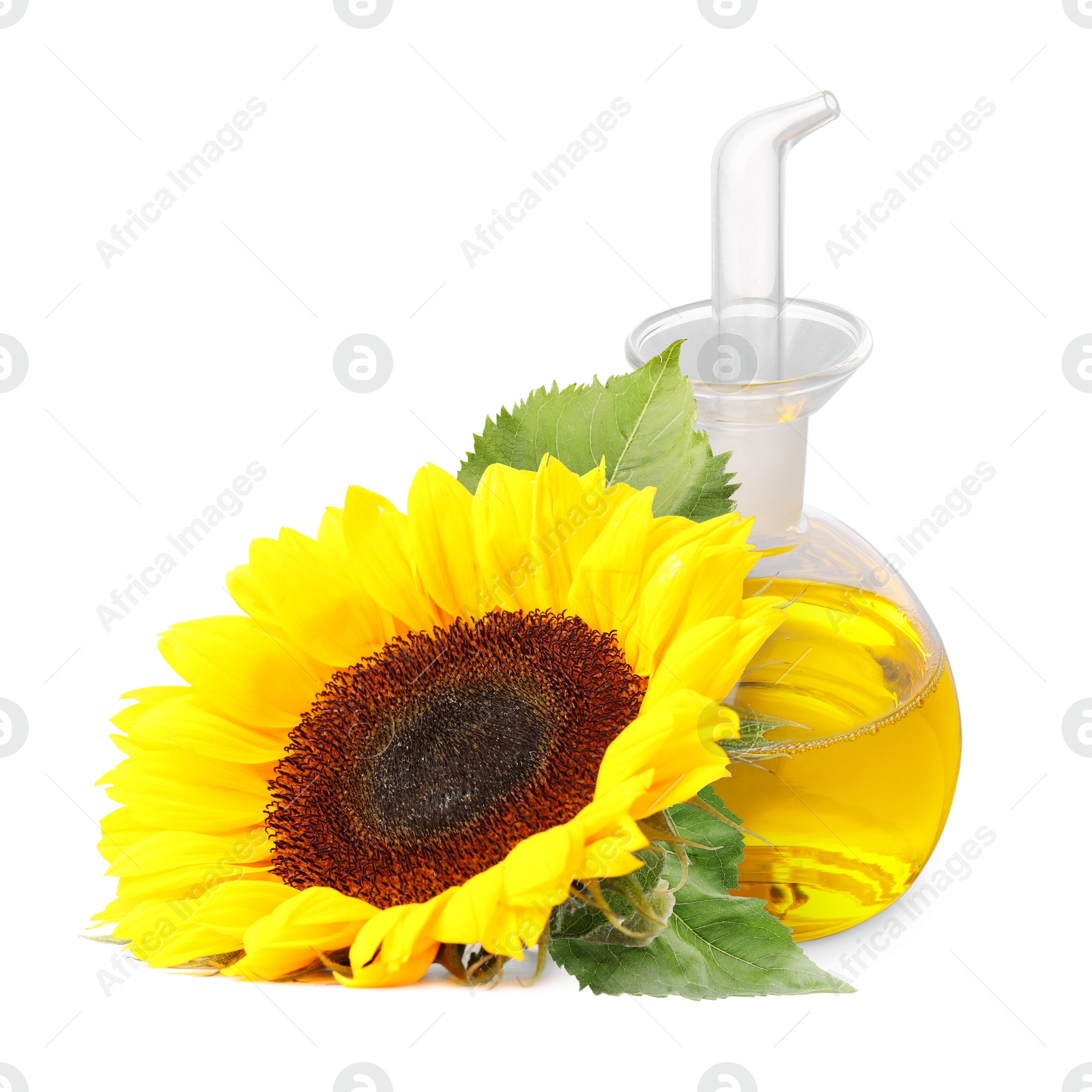 Image of Cooking oil in glass cruet and bright sunflowers isolated on white