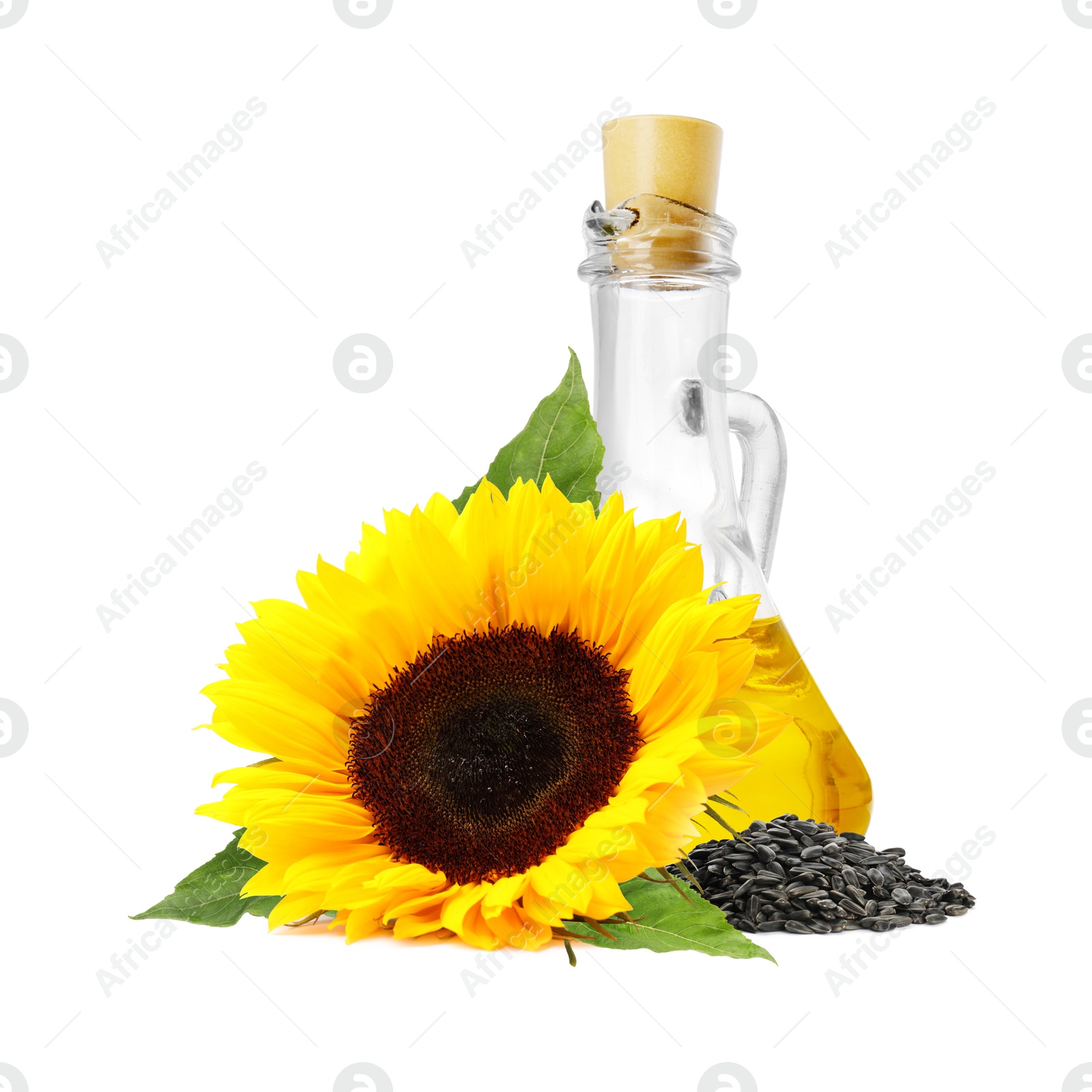 Image of Cooking oil in glass jug, sunflower seeds and flower isolated on white