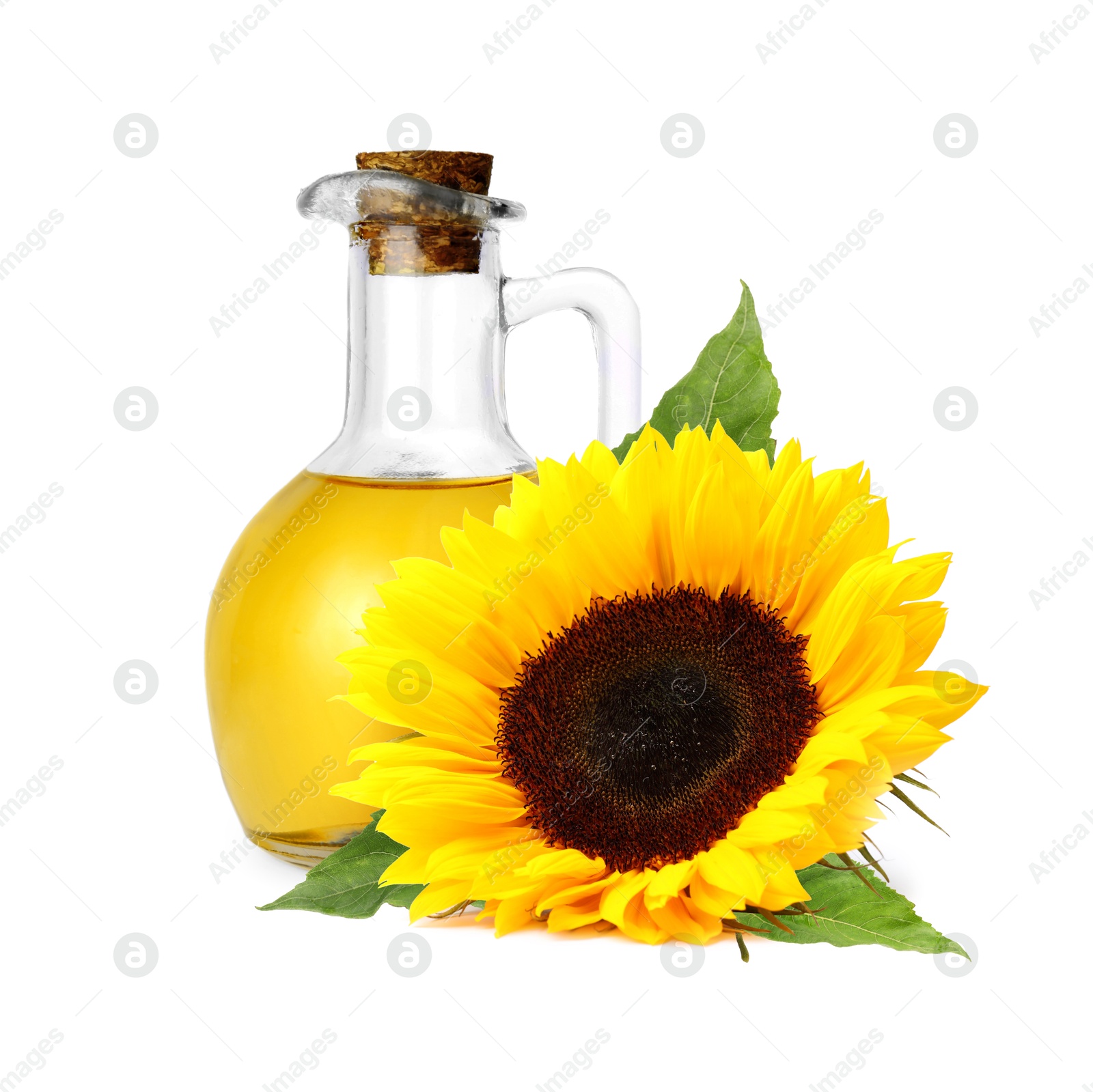 Image of Cooking oil in glass jug and bright sunflower isolated on white