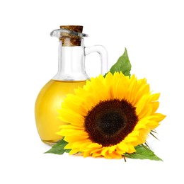 Image of Cooking oil in glass jug and bright sunflower isolated on white