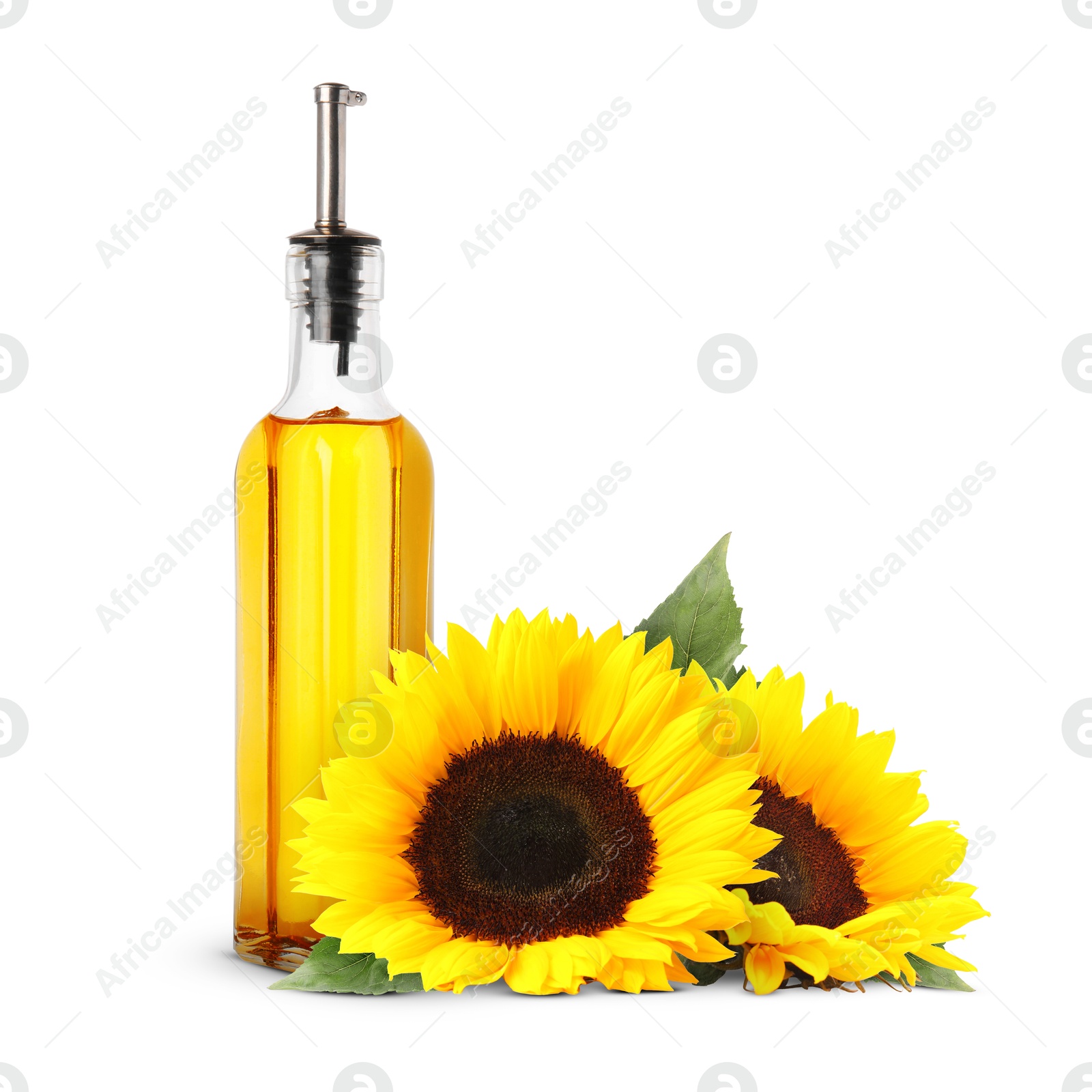 Image of Cooking oil in glass bottle and bright sunflowers isolated on white