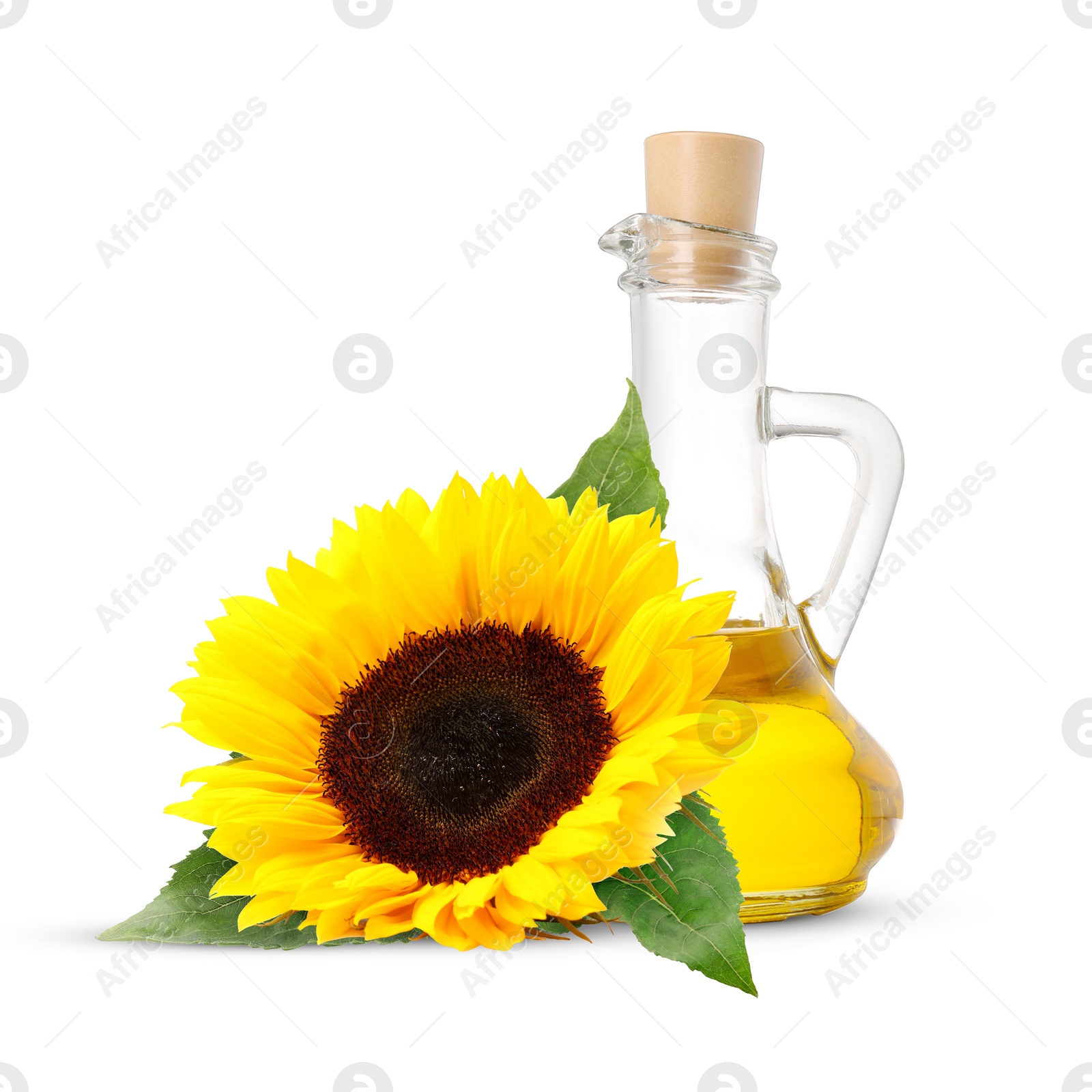 Image of Cooking oil in glass jug and bright sunflower isolated on white