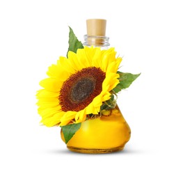 Image of Cooking oil in glass jug and bright sunflower isolated on white