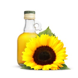 Image of Cooking oil in glass bottle and bright sunflower isolated on white