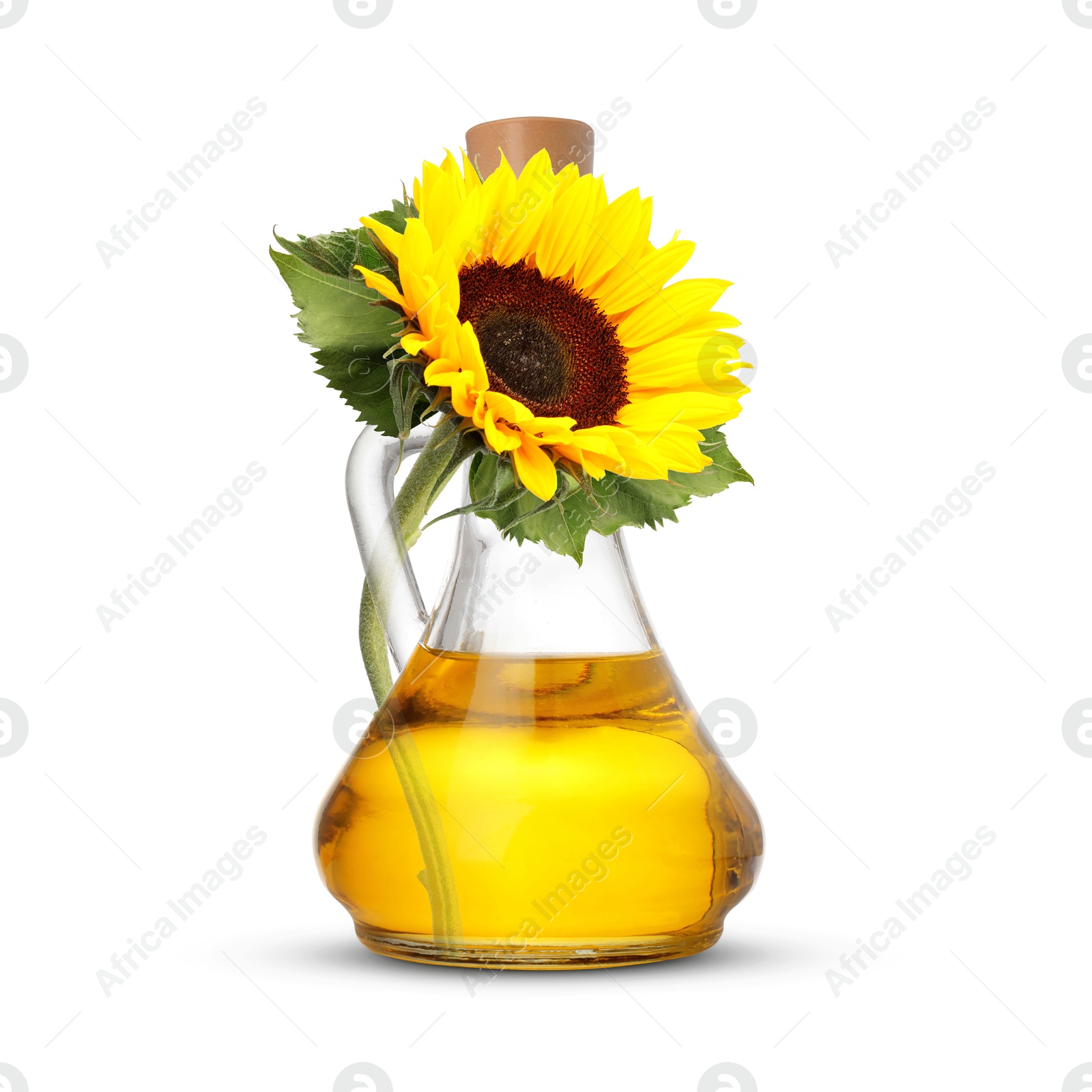 Image of Cooking oil in glass jug and bright sunflower isolated on white