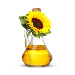 Image of Cooking oil in glass jug and bright sunflower isolated on white