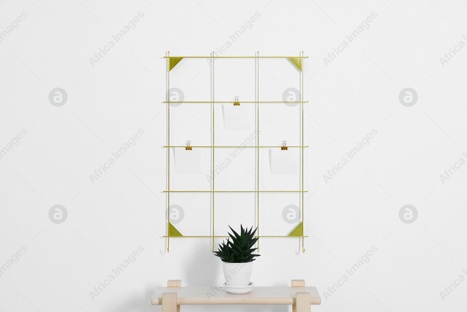 Photo of Mood board with blank paper notes and houseplant on wooden ladder near white wall