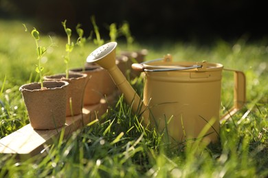 Potted seedlings and watering can on green grass outdoors