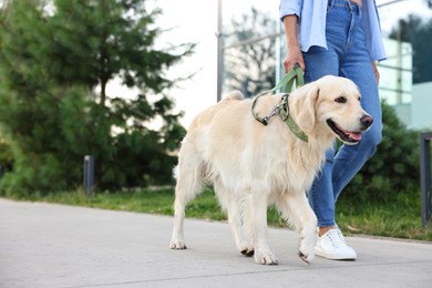 Photo of Owner walking with cute Golden Retriever dog outdoors, closeup. Space for text