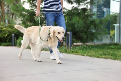 Photo of Owner walking with cute Golden Retriever dog outdoors, closeup. Space for text