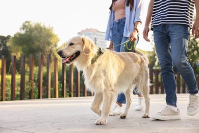 Photo of Couple walking with cute Golden Retriever dog outdoors, closeup. Space for text