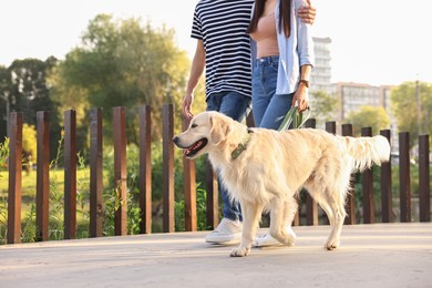 Photo of Couple walking with cute Golden Retriever dog outdoors, closeup. Space for text