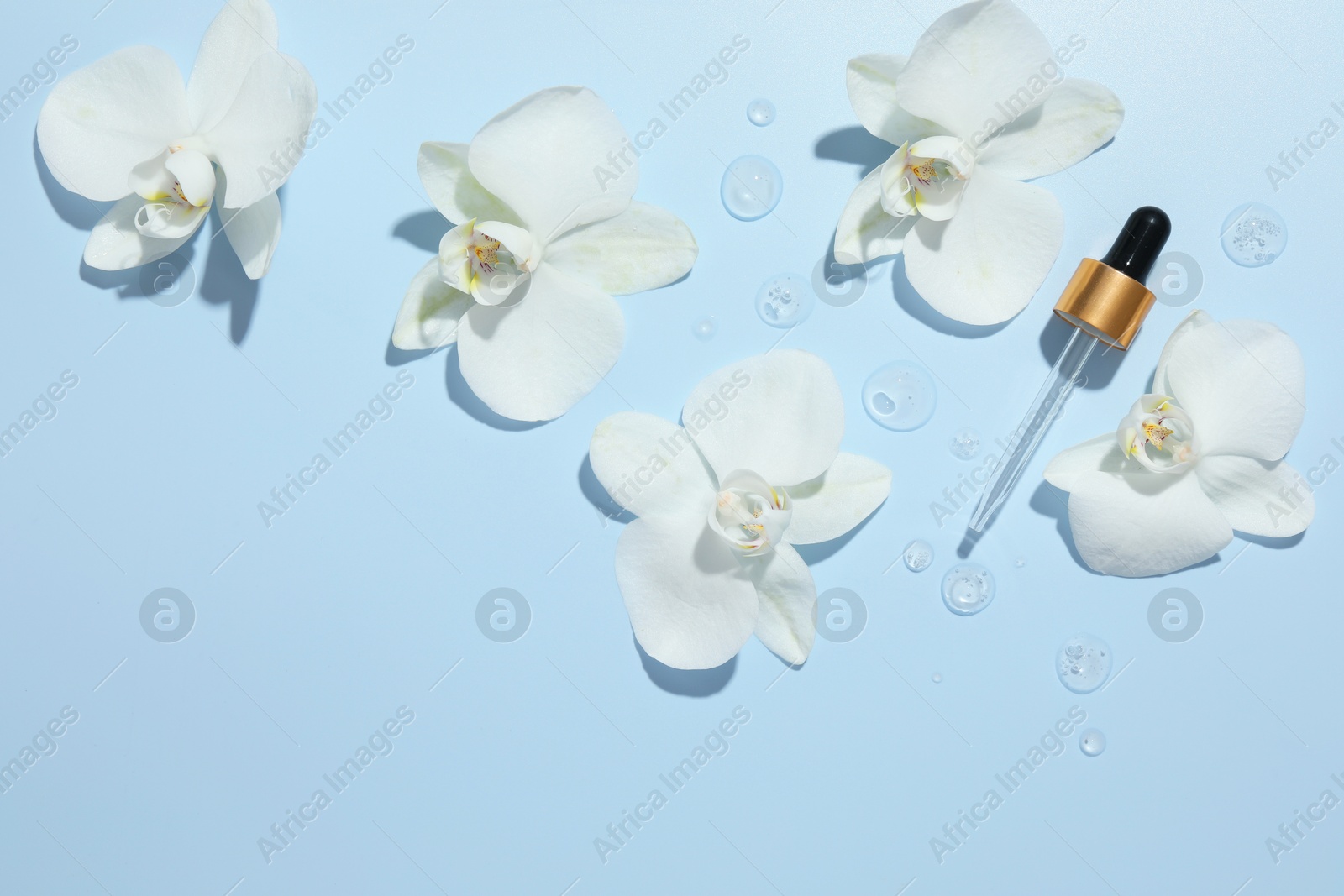 Photo of Beautiful orchid flowers and dropper with cosmetic product in water on light blue background, flat lay