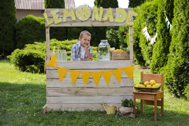 Cute little boy at lemonade stand in park