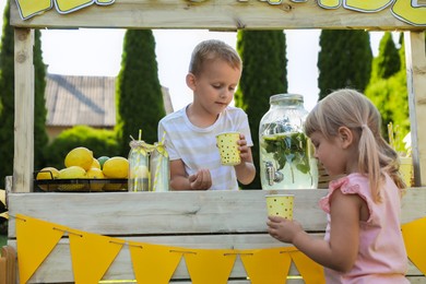 Cute little boy selling natural lemonade to girl in park