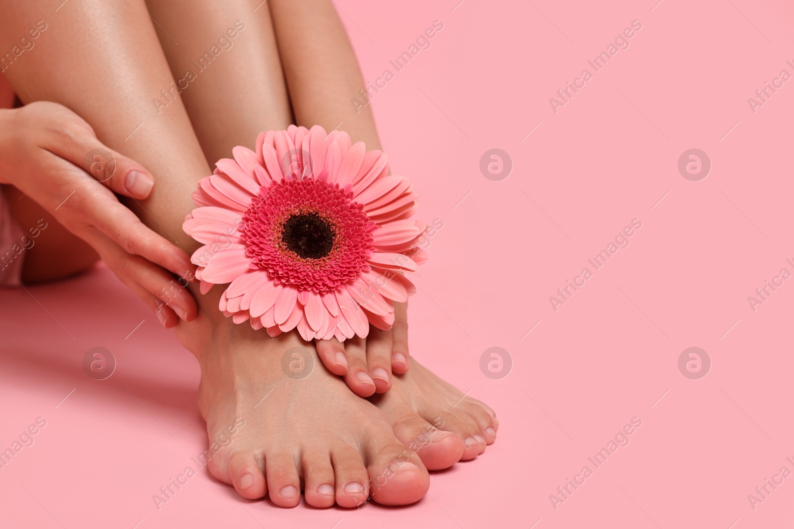 Photo of Woman touching her smooth feet on pink background, closeup. Space for text