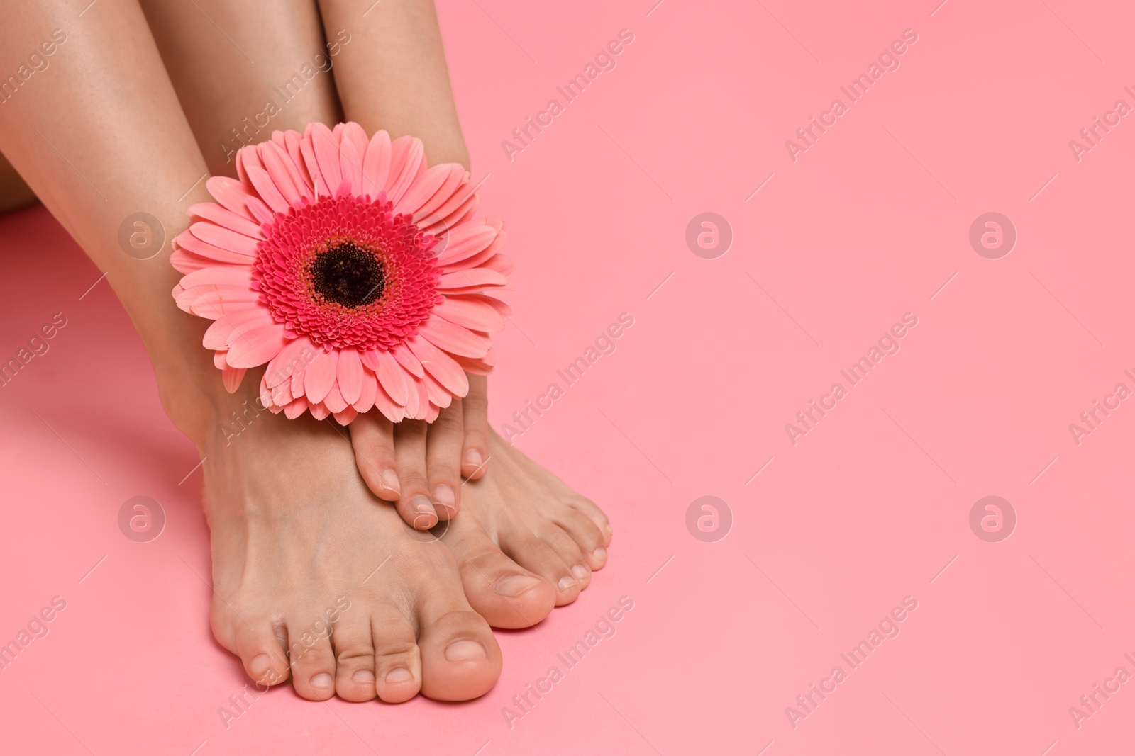 Photo of Woman touching her smooth feet on pink background, closeup. Space for text