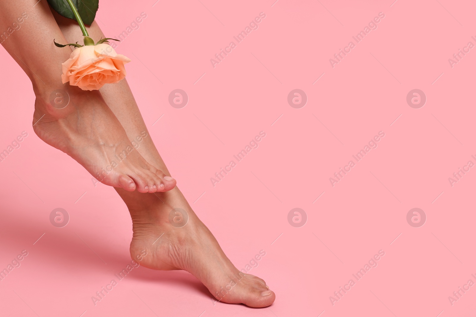 Photo of Woman with smooth feet and flower on pink background, closeup. Space for text