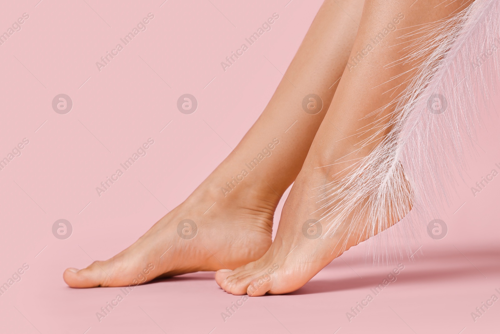 Photo of Woman with smooth feet and feather on pink background, closeup