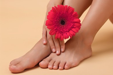 Photo of Woman with smooth feet and gerbera flower on beige background, closeup