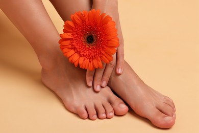 Photo of Woman with smooth feet and gerbera flower on beige background, closeup