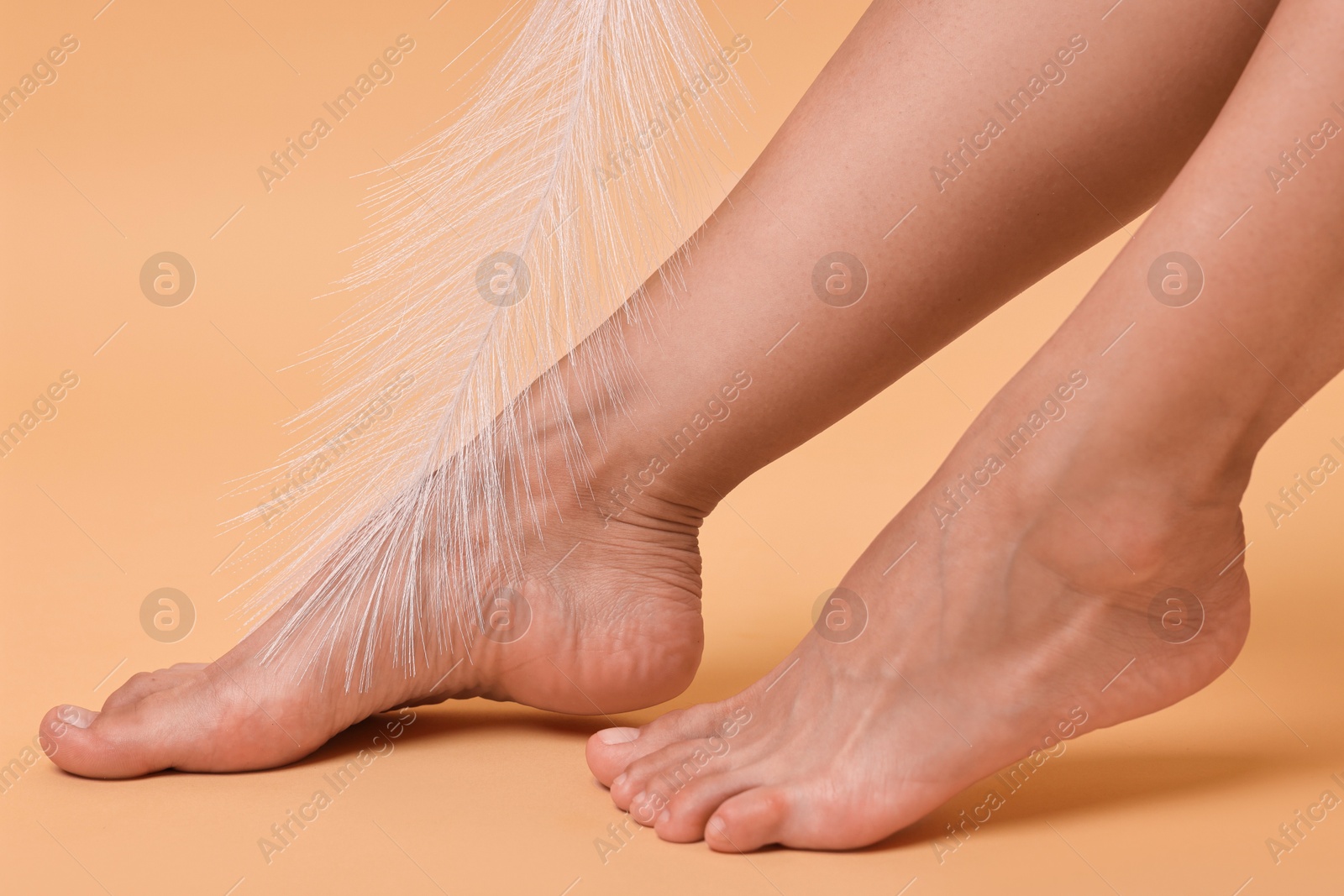 Woman with smooth feet and feather on beige background, closeup Photo of Woman with smooth feet and feather on beige background, closeup