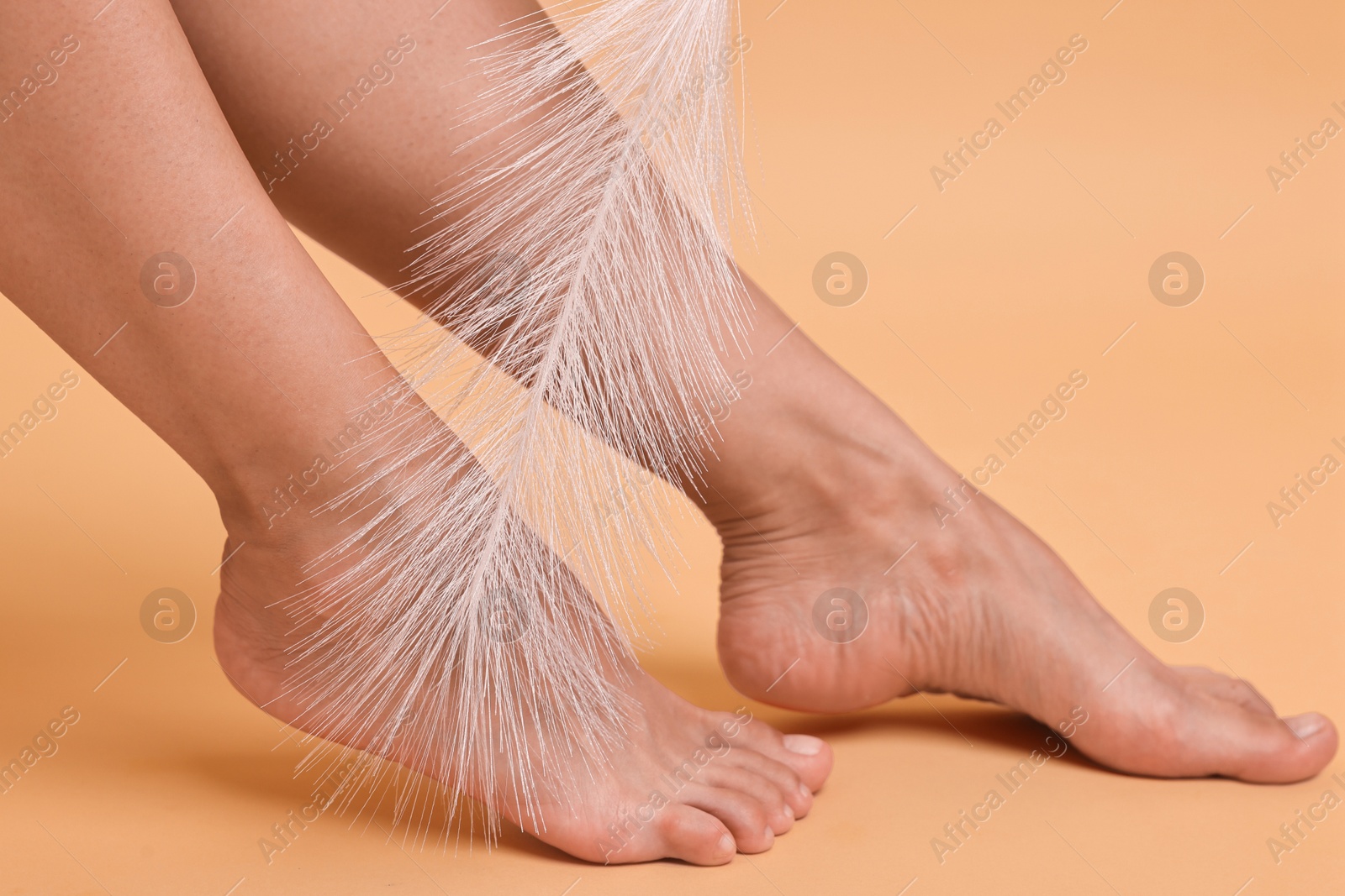 Photo of Woman with smooth feet and feather on beige background, closeup