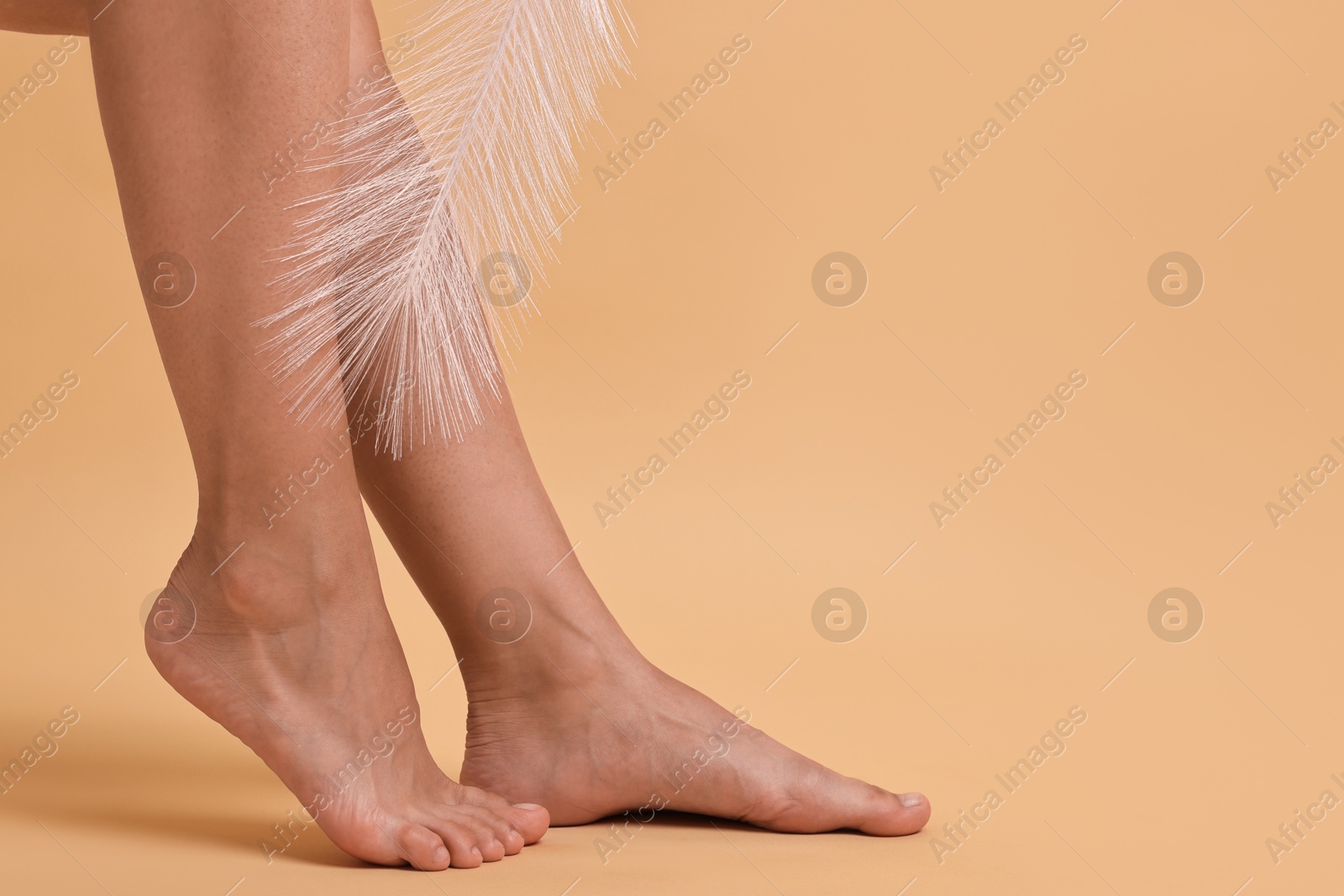 Photo of Woman with smooth legs and feather on beige background, closeup. Space for text