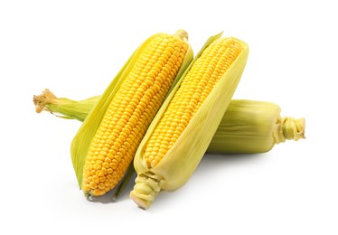 Corncobs with green husks isolated on white