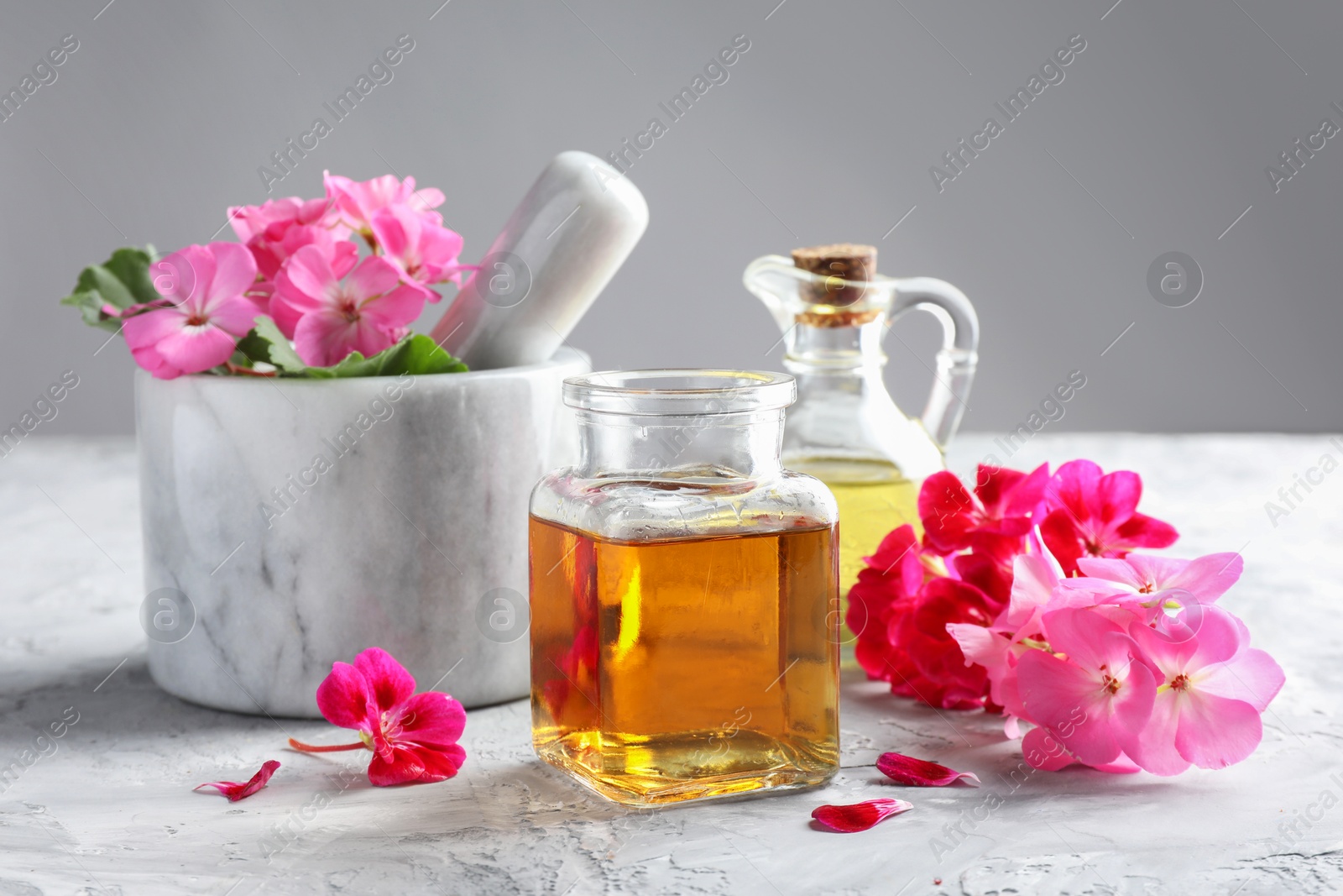 Photo of Geranium essential oil and beautiful flowers on light grey textured table