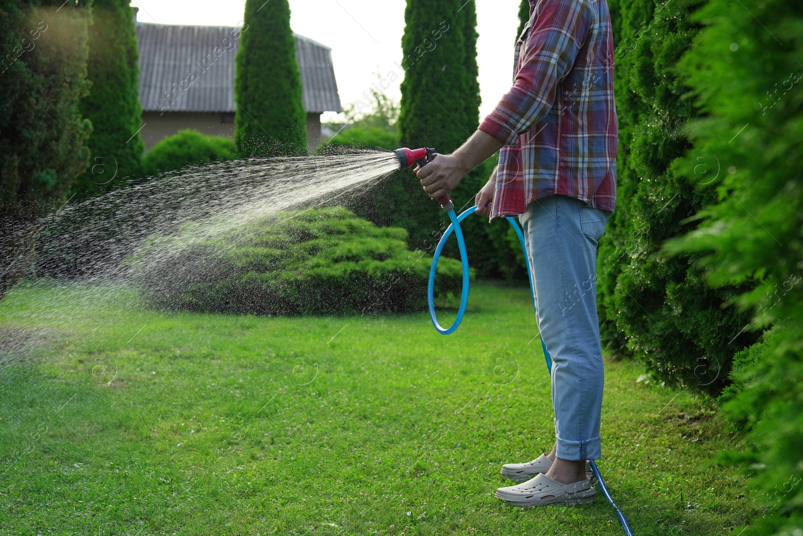 Photo of Man watering green grass on lawn in backyard, closeup