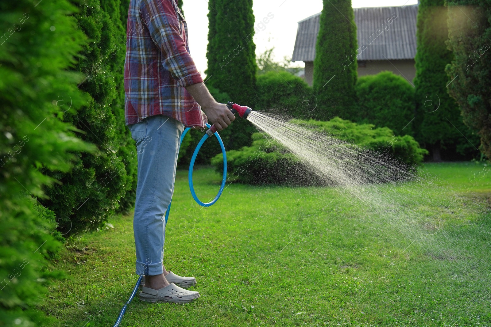 Photo of Man watering green grass on lawn in backyard, closeup